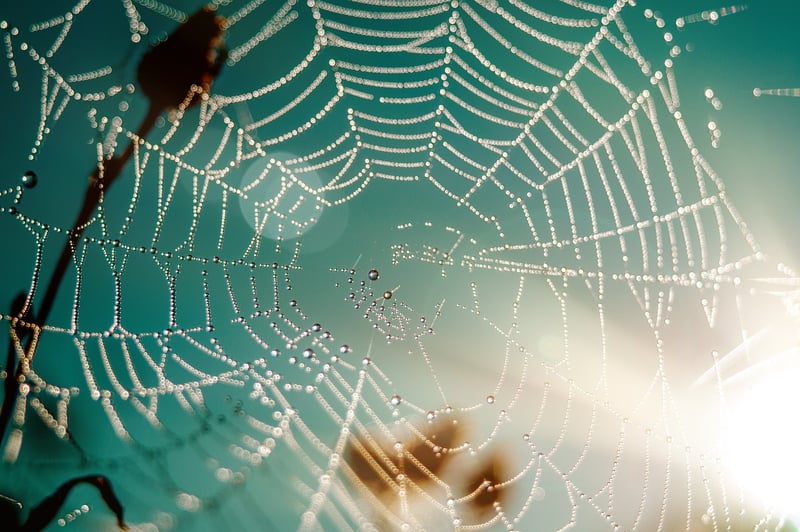 Web-based Adventures
